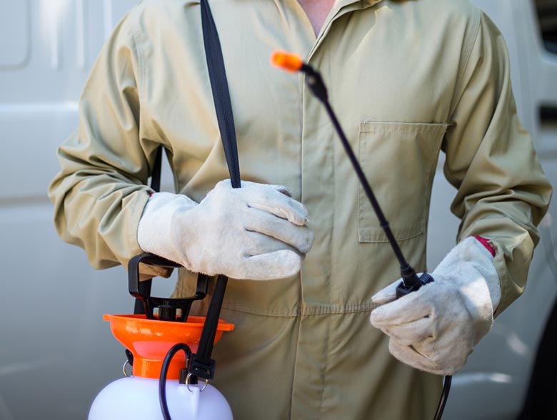 Don’t go cheap on pest control prices