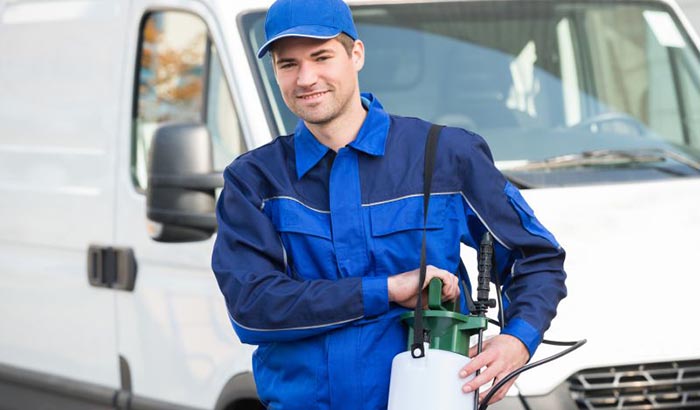 Find pest inspections near your Sunshine Coast home