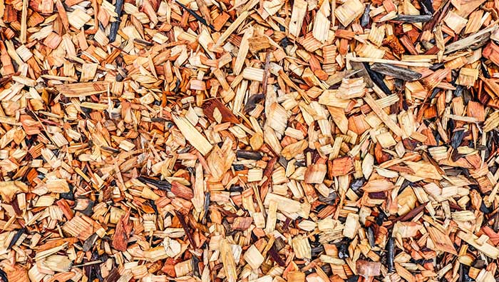 Wood used as mulch attracts flying termites