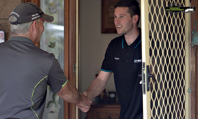 Find pest inspections near your Sunshine Coast home