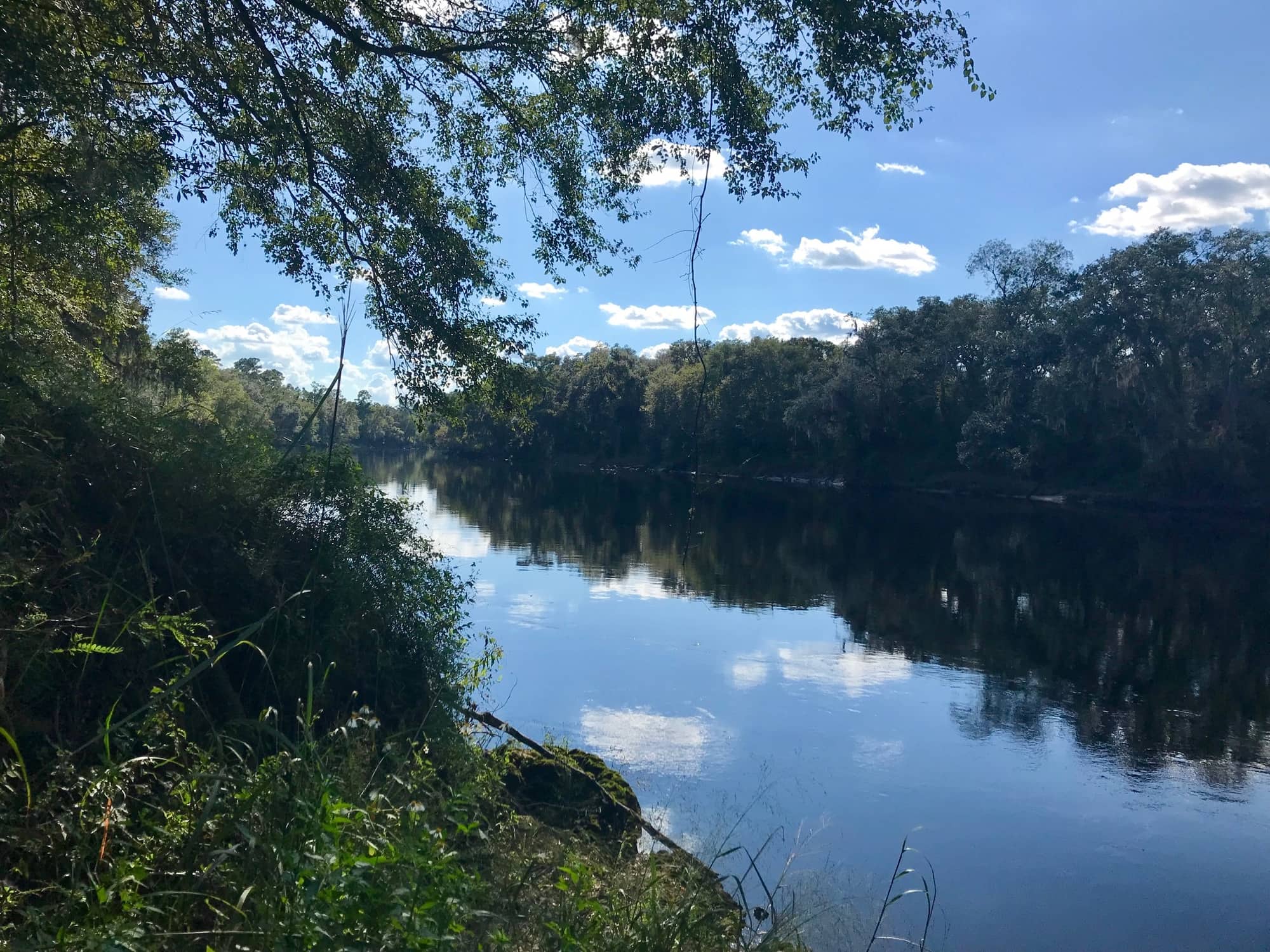 Suwannee River Lots Priced To Sell!