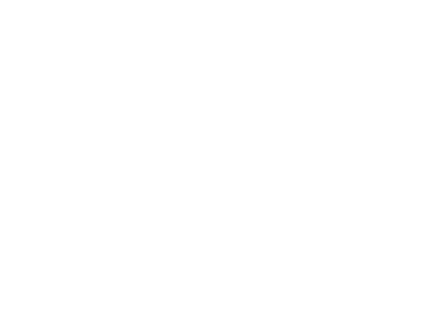 Toulon Design Putters