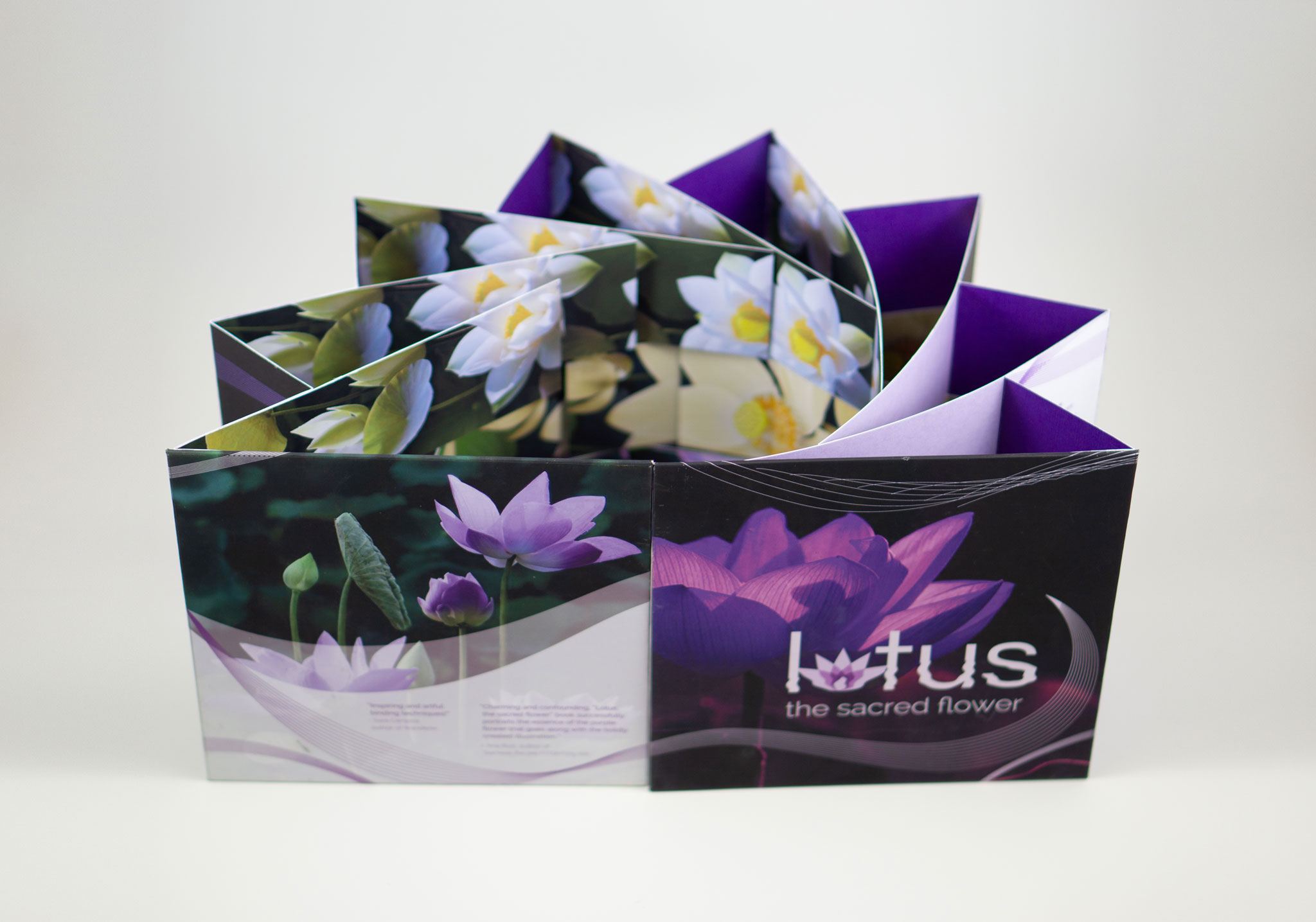 lotus the sacred flower fold joss paper lotus flower