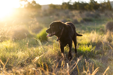 Skin health depends on a healthy gut.