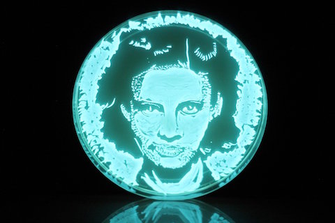 Esther Lederberg, Woman in Science that You Need to Know About