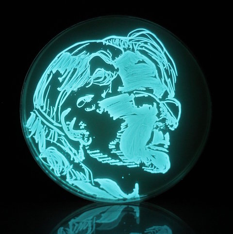 Microbiologist, Jo Handelsman, Woman in Science