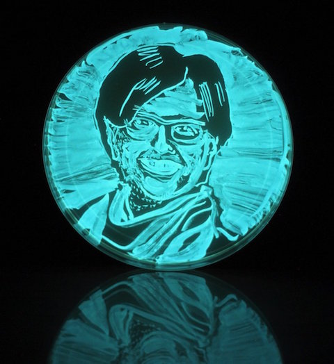 Microbiologist, Margaret McFall-Ngai