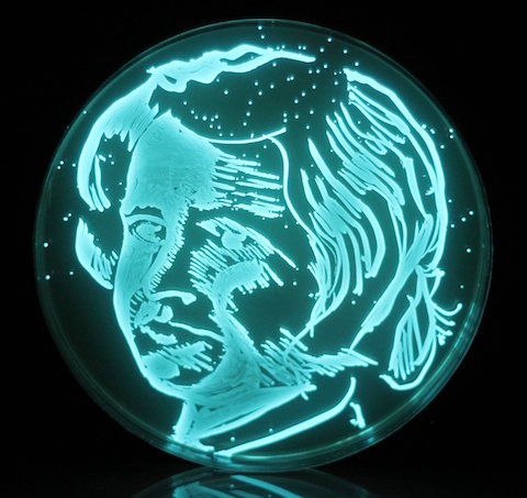 Chemist, Rosalind Franklin