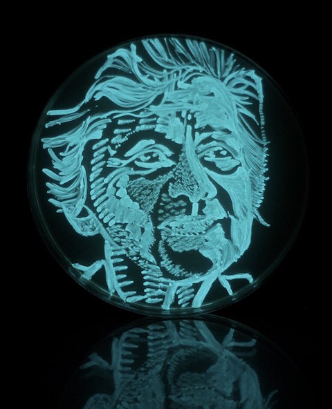 Environmental Microbiologist, Rita Colwell
