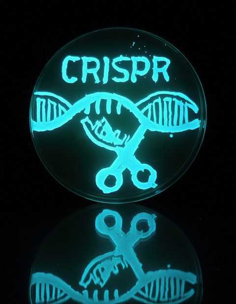 Crispr science invention