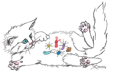 Why your cat's microbiome matters