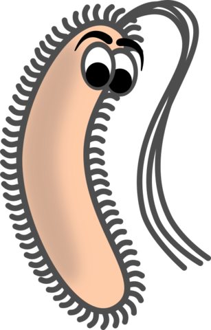 pink germ with eyes - AnimalBiome