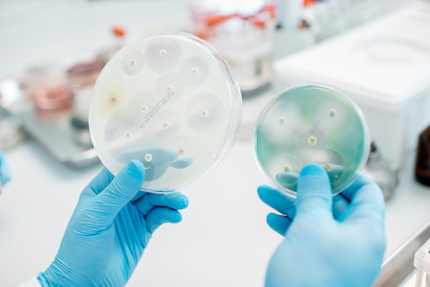 Antibiotics and other medication can be harmful to the gut microbiome