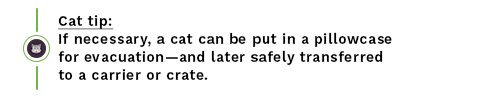 Cat tip for disaster preparedess and pet fire safety