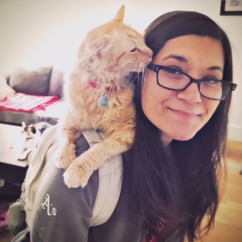 Marigold the cat with her cat parent