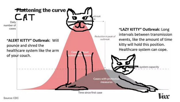 Cat-tening the curve