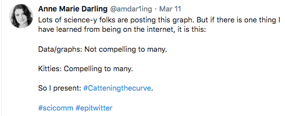 Catteningthecurve