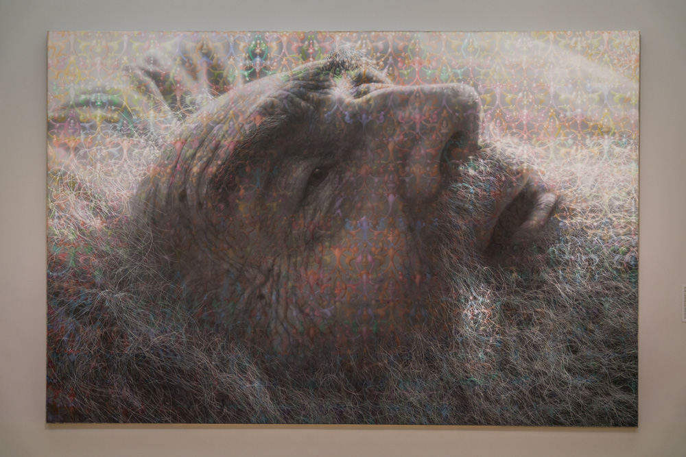 Art at Crocker Art Museum in Sacramento CA