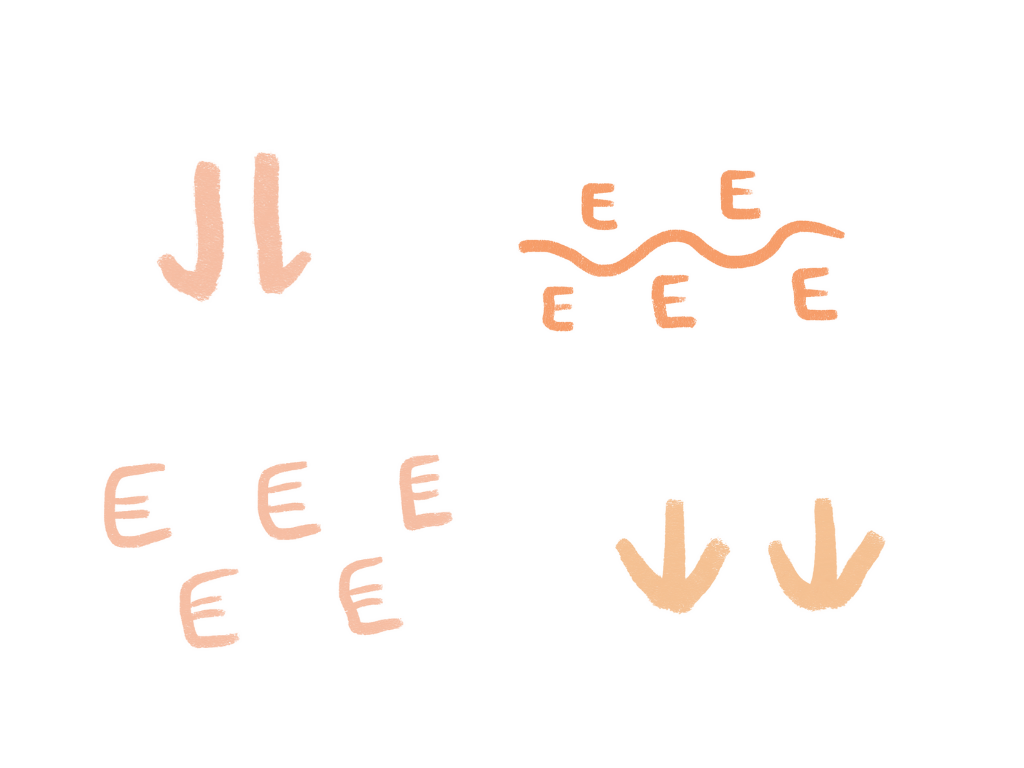 First Nations symbols