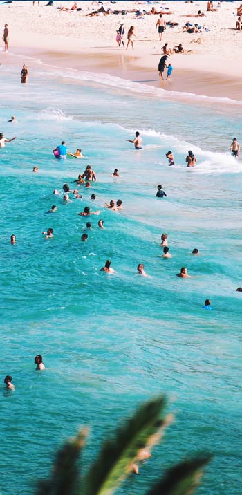 Sydney Beach - Private Tutoring Location