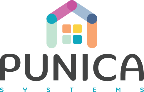 Punica Systems Co. Ltd.