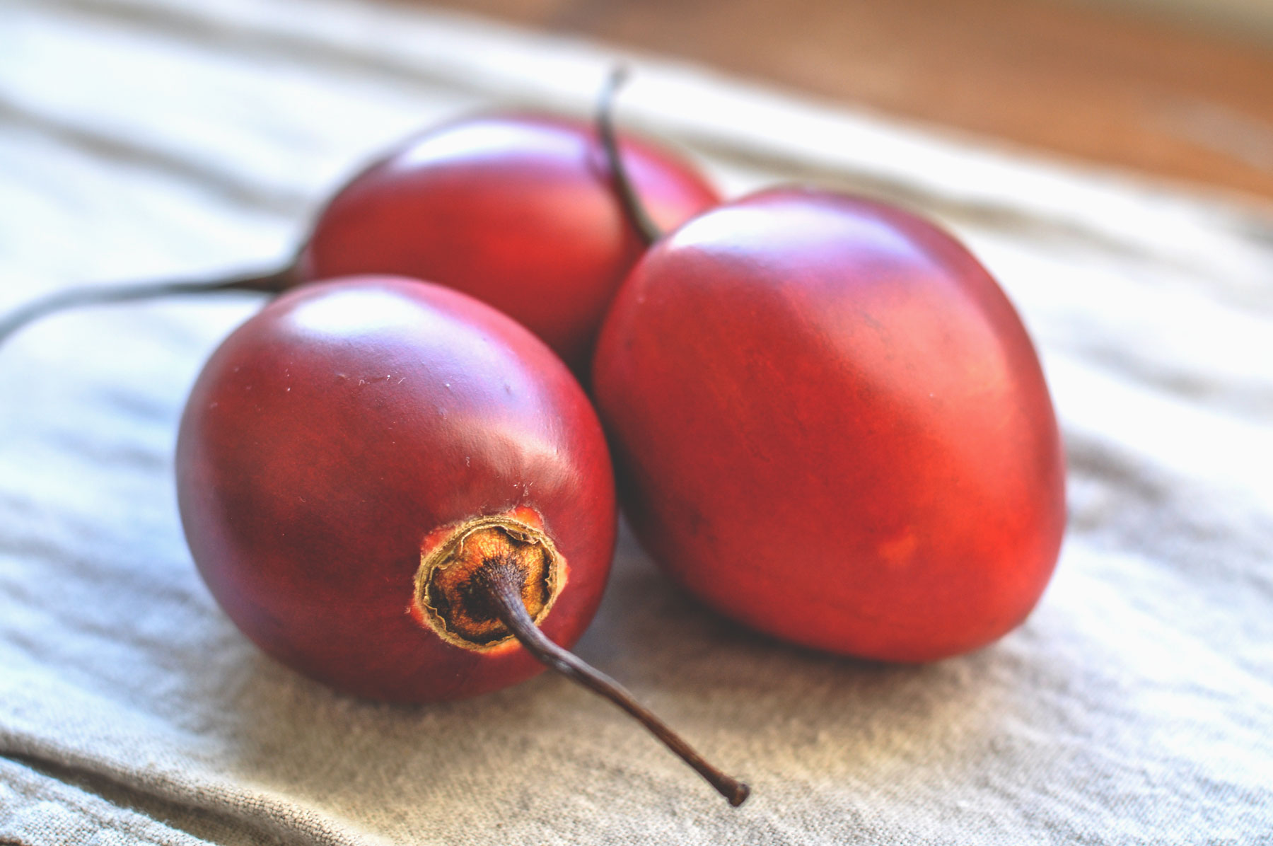 What IS A Tamarillo Eat Thrive Perform Accredited Sports 
