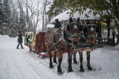 Winter fun with Sleigh, Stay & Dine Packages