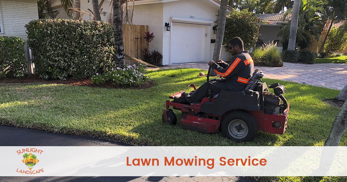 Lawn Mowing Service