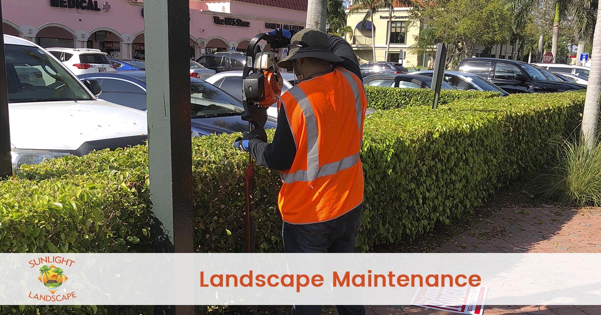 Landscape Maintenance