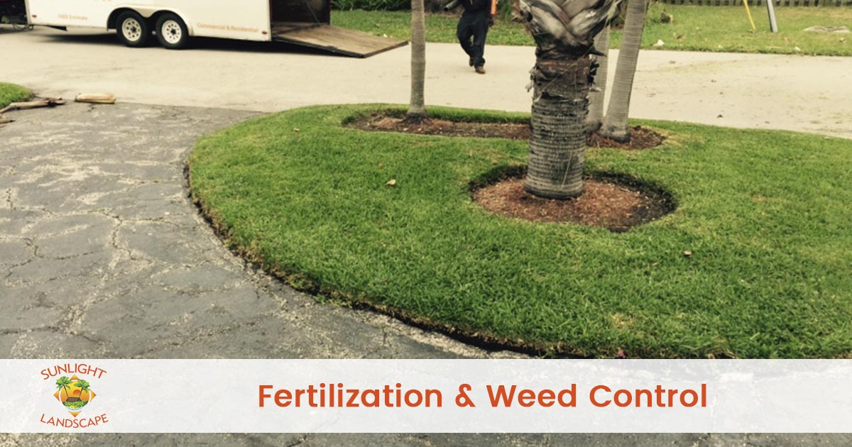 Lawn Fertilization