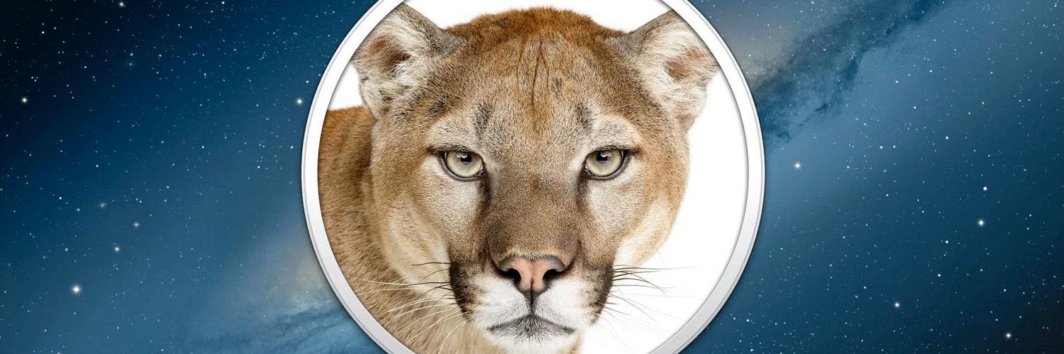 Mountain Lion Server