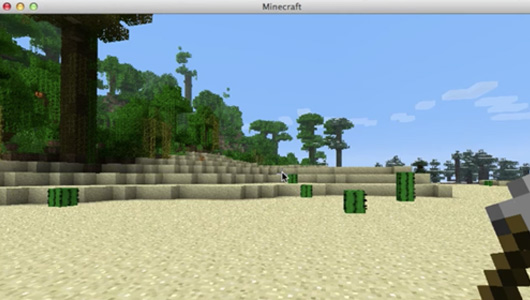 Minecraft