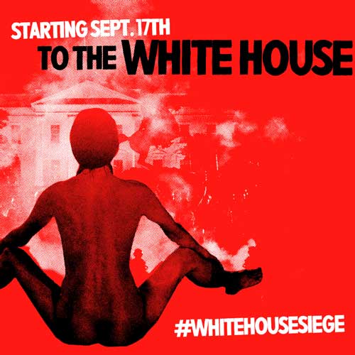 #WhiteHouseSiege – Tactical Briefing #2