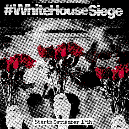 #WhiteHouseSiege – Tactical Briefing #3