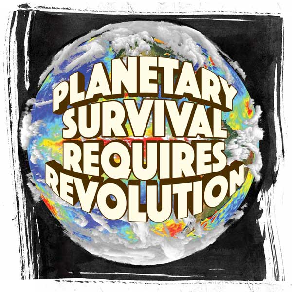 Every Country is a Living Organism