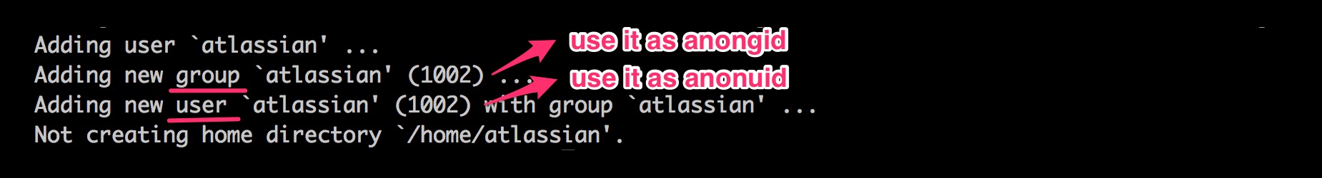 User creation outputs user-id and group-id