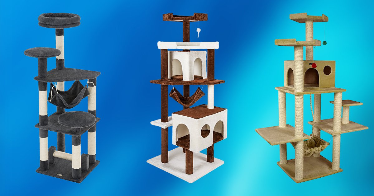 10 Best Cat Trees for Large Cats 2020 [Buying Guide] Geekwrapped