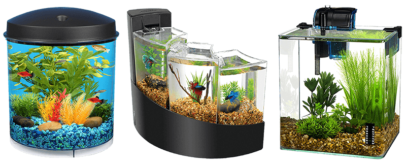 best betta tanks for