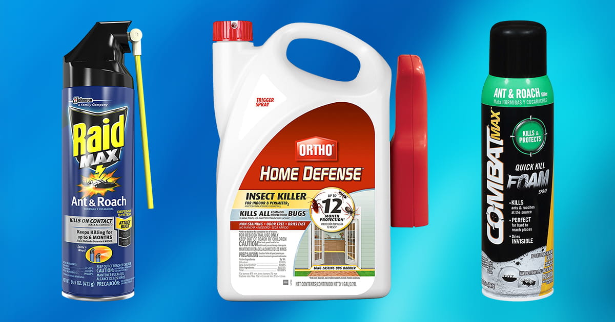 Best Cockroach Killers For 2021 Top 5 Review And Buyi vrogue.co