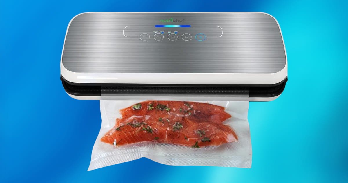 10 Best Sous Vide Vacuum Sealers 2020 [Buying Guide] Geekwrapped