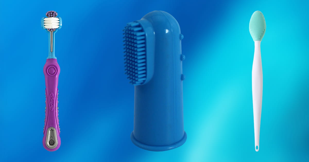 10 Best Dog Toothbrushes 2020 [Buying Guide] Geekwrapped