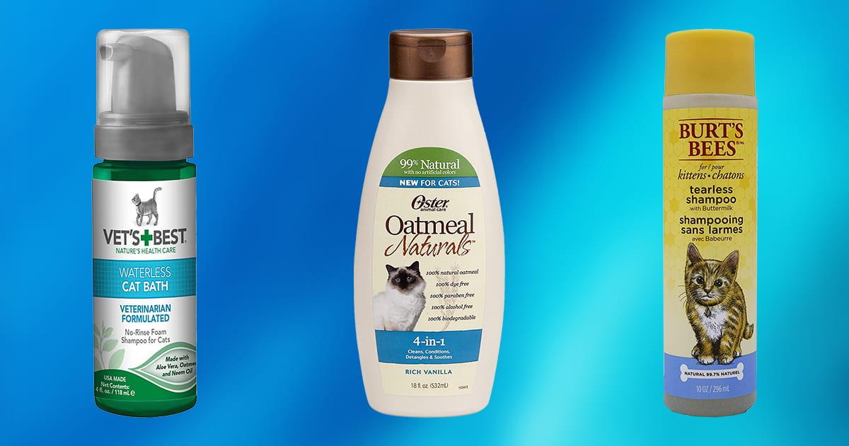 10 Best Cat Shampoos 2020 [Buying Guide] Geekwrapped