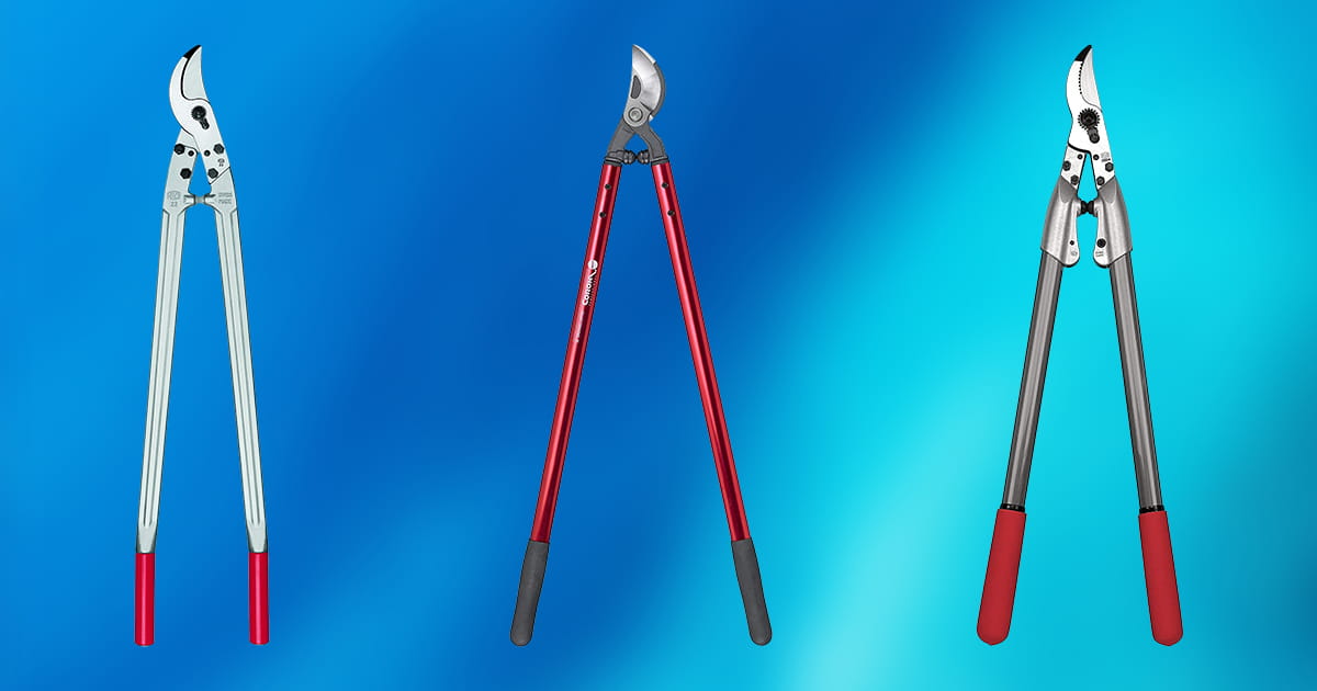 10 Best Loppers 2020 [Buying Guide] Geekwrapped