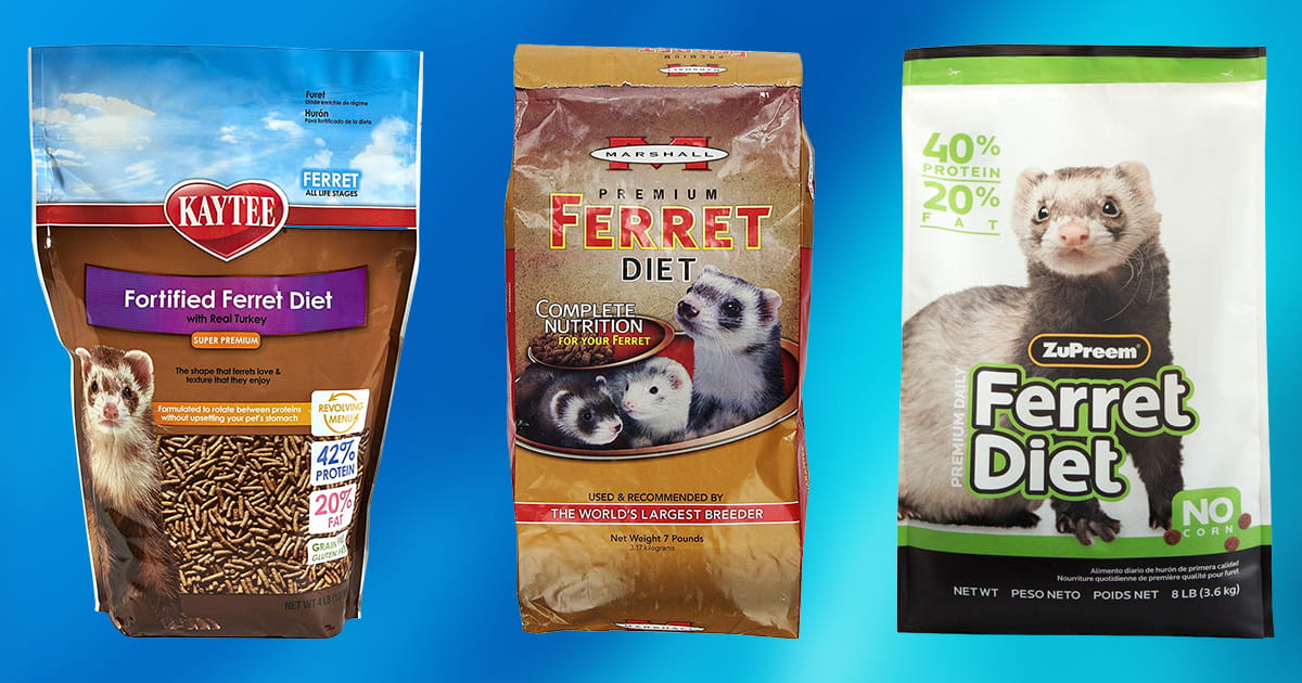 10 Best Ferret Food 2020 [Buying Guide] Geekwrapped