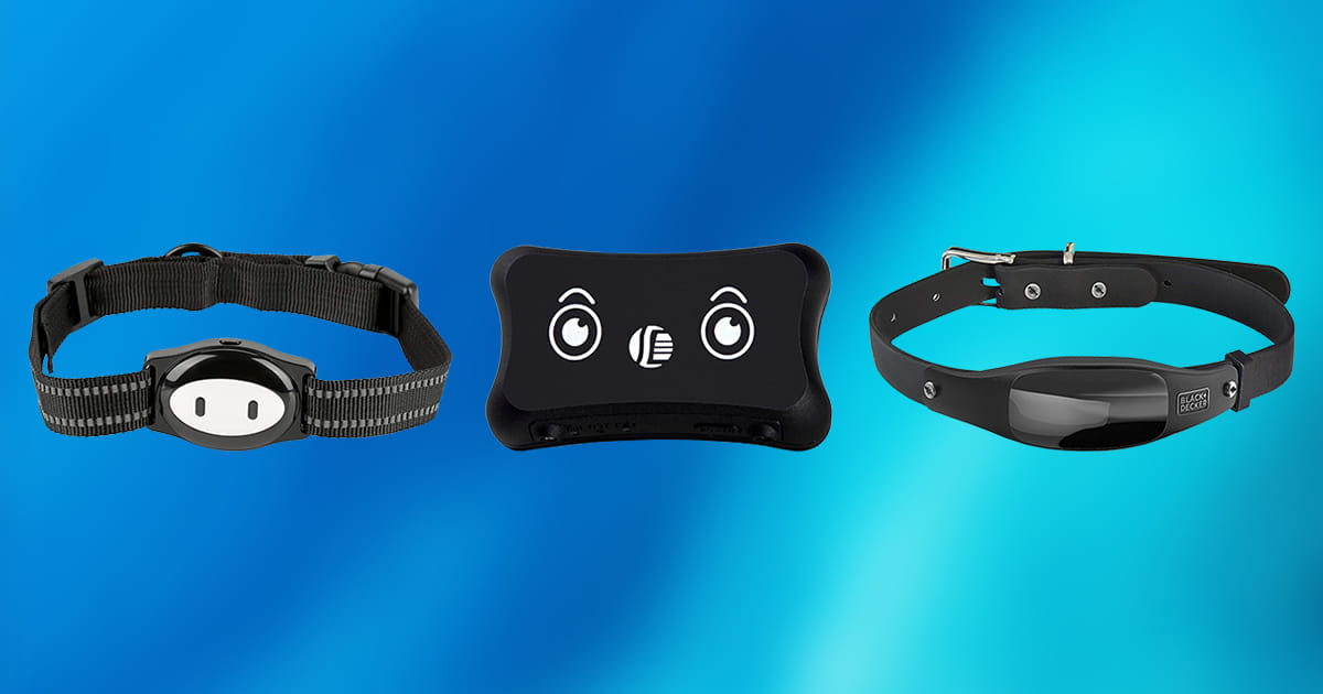 10 Best GPS Tracking Chips for Dogs and Cats 2020 [Buying Guide