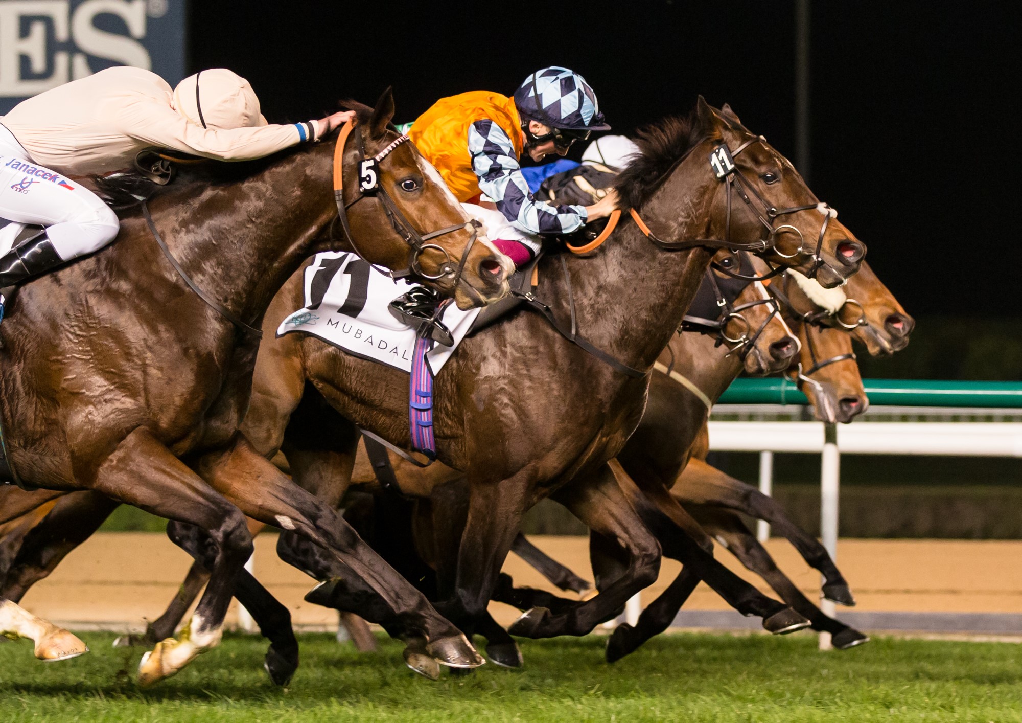 Credit: Dubai Racing Club / Erika Rasmussen