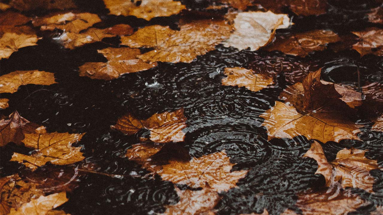 Fall Vehicle Maintenance Tips Quality Tune Up Shops