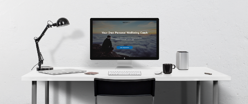 We built hundreds of ads and prototypes to test idea