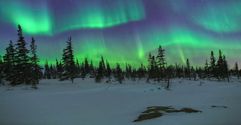 Season of the Northern Lights in Rovaniemi is October – April. Season of the Northern Lights in Rovaniemi is October – April.