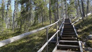 Auttiköngäs nature trail Auttiköngäs nature trail